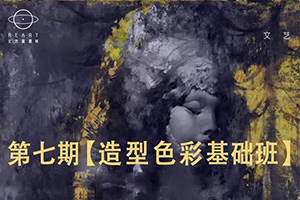 顾佳艺丨造型色彩基础班第七期（画质高清带素材）