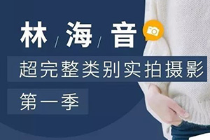 林海音丨实拍摄影课堂第一期（画质高清无素材）
