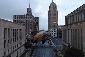 老鹰AE 2021系统进阶实拍合成MG动画教程（画质高清带课程素材）