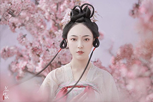 蝈蝈小姐国风高阶班2期（画质普通带素材）