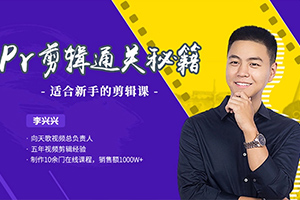 李兴兴丨PR剪辑通关秘籍案例教程（画质高清无素材）
