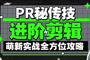 PR秘传技丨进阶剪辑的全方位攻略2021年（画质超清带素材）