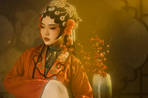 麦子丨古风人像工笔画PS后期修图教程2019年（画质高清带素材）