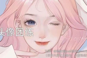 Luffypig漫改基础头像iPad插画团练第四期2022年（画质清晰带笔刷）