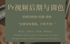 光拾阿飞Pr视频后期与调色2022年（高清画质带素材）