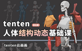 tenten云人体结构动态基础第五期2022年（高清画质带素材）