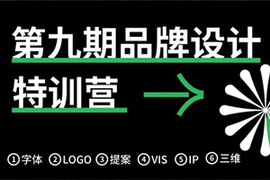 卢帅品牌设计特训营第9期2021年（高清画质带素材）