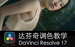 舞光弄影DaVinci Resolve17速成教学大师指南课（画质清晰无素材）