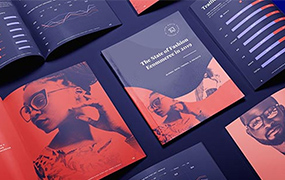 品牌视觉商业设计教程第4期2022年（高清画质无素材）