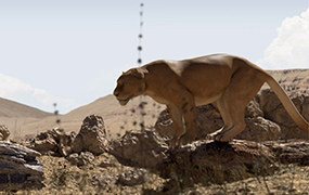 ianimate creature workshop三部生物动画教程（画质清晰无素材）