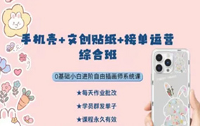 胖丁丨画师IP运营与变现方法+图案设计与接单运营（画质清晰无素材）