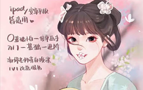 淑婷iPad商业插画系统课（画质清晰无素材）
