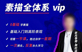 郑红远素描头像全体系精讲（高清画质无素材）