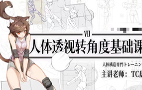 TC晨透视转角度基础课第7期2023年(高清画质无素材)