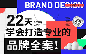 李宜轩22天学会打造专业的品牌全案2022年（高清画质无素材）
