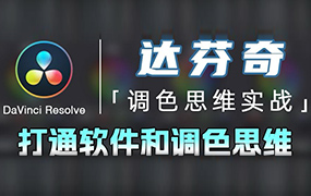 南门录像厅丨达芬奇调色思维 商业项目实操2023年（高清画质无素材）