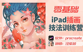 汪紫薇零基础iPad插画技法实训2022年（高清画质无素材）