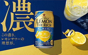 版式设计小白训练营（高清画质无素材）