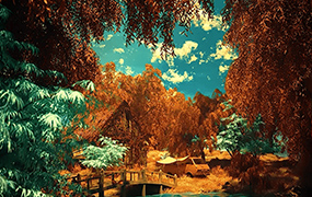 Coloso教程丨使用C4D和Octane完成的梦幻自然背景 中文字幕（高清画质带资产）