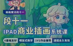 段十一iPad商业插画系统课 I 从零基础到画画精通（高清画质无素材）