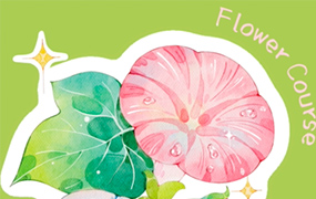 昭春落日iPad水彩花卉课2023年（高清画质带课件笔刷）