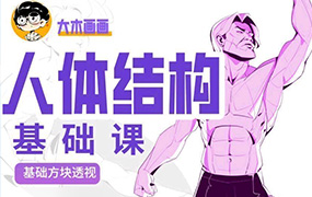 大木人体结构基础第11期2023年（高清画质无素材）