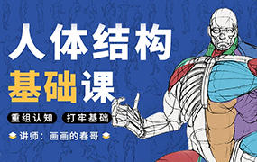 春哥人体结构基础课第13期（高清画质带课件）
