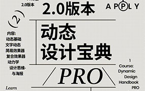 不错实验室2024年AE动态设计宝典PRO版2.0（高清画质带素材）