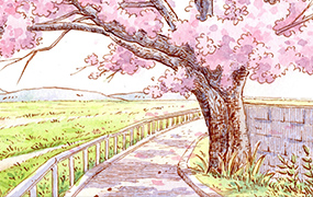 万小悠钢笔淡彩系统课2023年（画质清晰无素材）