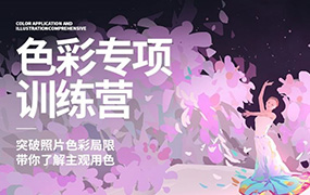 风绽色彩专项训练营第3期2024年（画质高清有作业包）