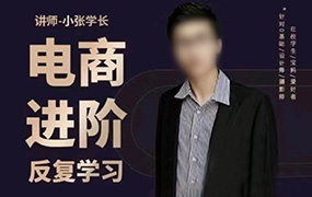 美工小张学长PS电商进阶（高清画质无素材）