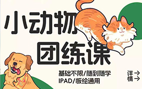 阿瀚的头像插画基础课+小动物插画课（画质清晰无素材）