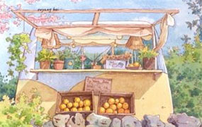 欧阳贝钢笔淡彩花卉果蔬自然风景课（画质清晰带课件）