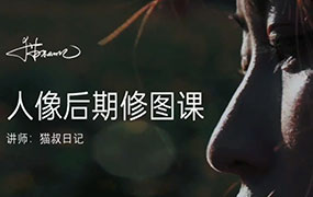 猫叔日记人像后期修图课2023年（画质清晰无素材）