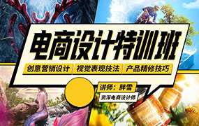 胖雪电商设计速成班（画质清晰带素材）