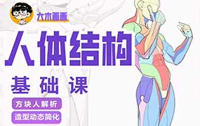大木人体结构基础课第13期（高清画质带课件）