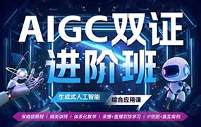 野菩萨AIGC双证进阶班14S 2024年（高清画质无素材）