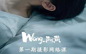 Wong阿黄摄影网络课第1期2024年（高清画质无素材）