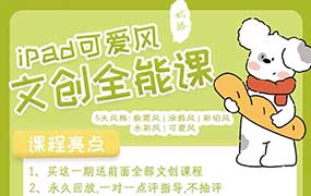 奶酪文创全能课2.0（高清画质带课件）